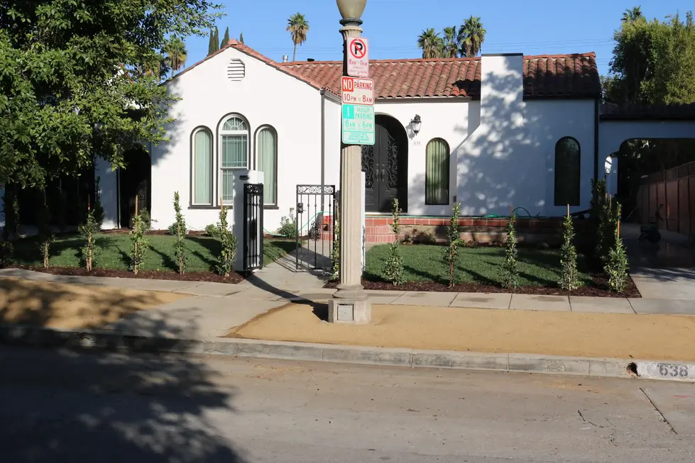 TEXTURED STONE PATH WITH PLANT EMBELLISHMENTS – JASON SONG