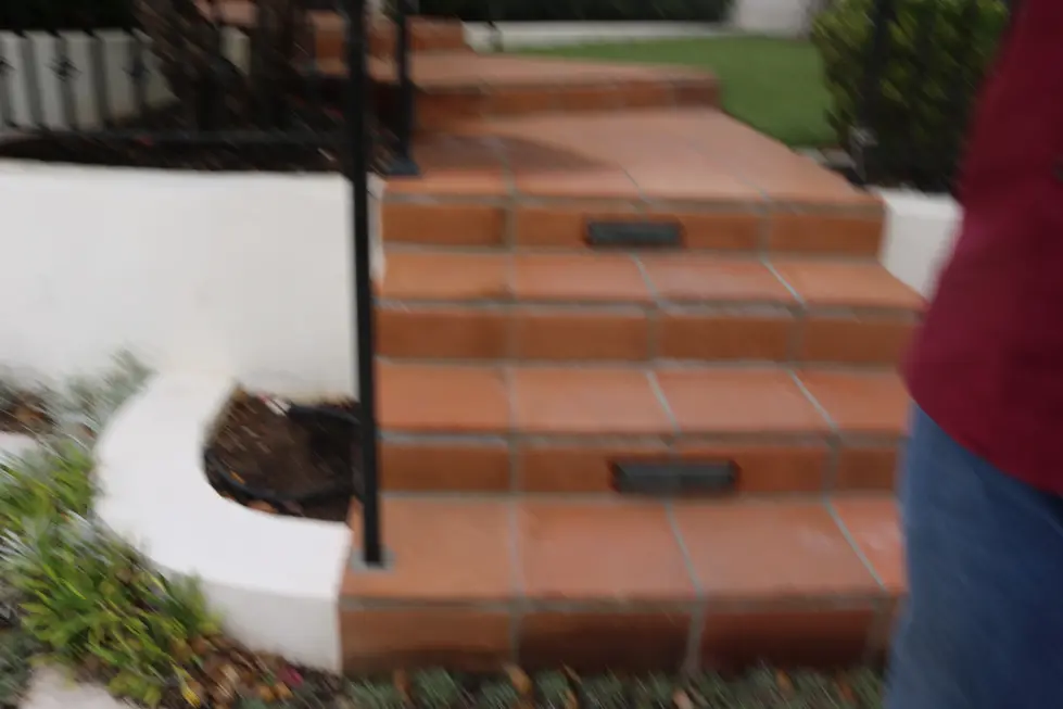 FLAGSTONE PATHWAY INSTALLATION THROUGH DROUGHT GARDEN – JOE GUILLIAN