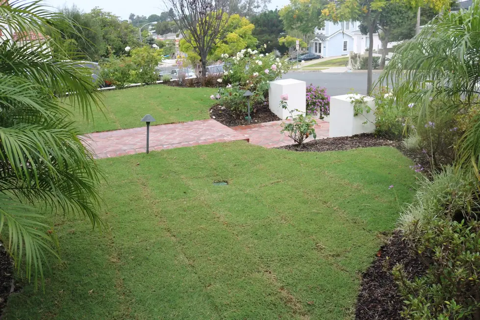 MODERN PLANT ARRANGEMENT IN SMALL GARDEN SPACE – JOE GUILLIAN