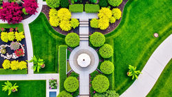 Bird’s Eye View 5