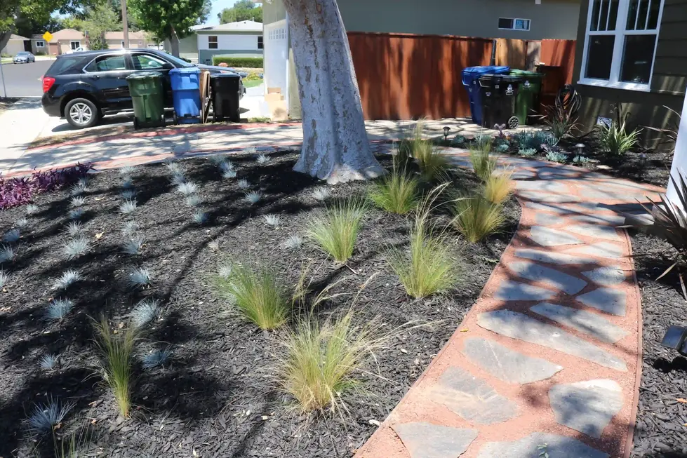 CALIFORNIA FRIENDLY GARDEN MIMI BACH