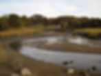 Stony Brook Creek