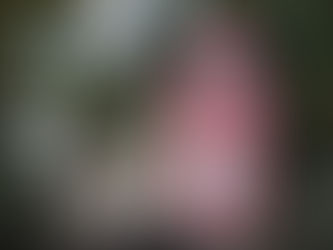 Una vida sin límites