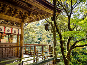 Cita del día: La marca personal más antigua