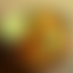 Dahl de lentejas rojas