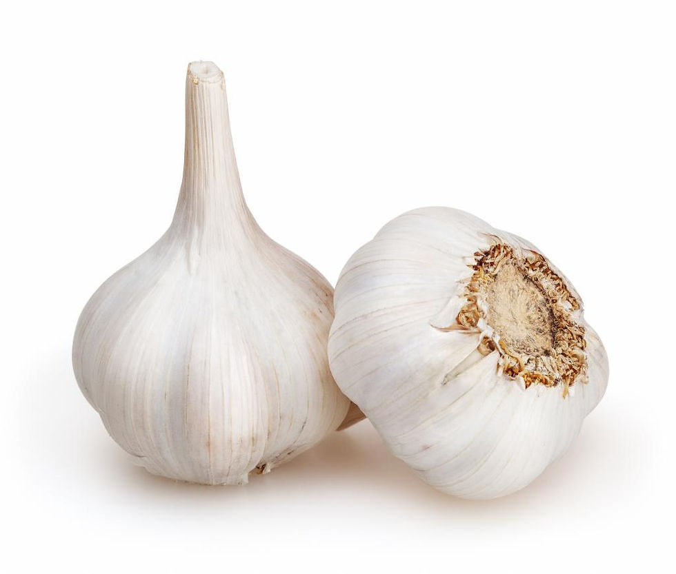 Ajo chileno  (1 unid)