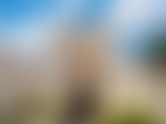 SAIBA COMO PRESSIONAR OS SENADORES A DEFENDER O SERVIÇO PÚBLICO E OS SERVIDORES: