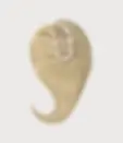 SmartPart