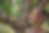 file_00000000c3fc71f79d0cf7692327ffd8.png