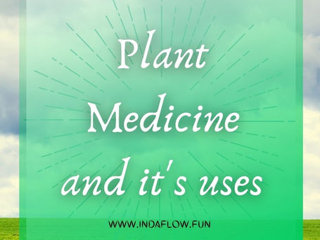 Plant Medicine and It's Uses