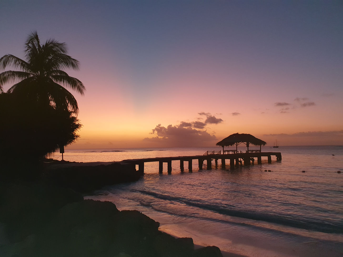 Carribean