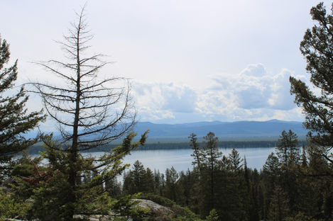 IMG_6784.JPG