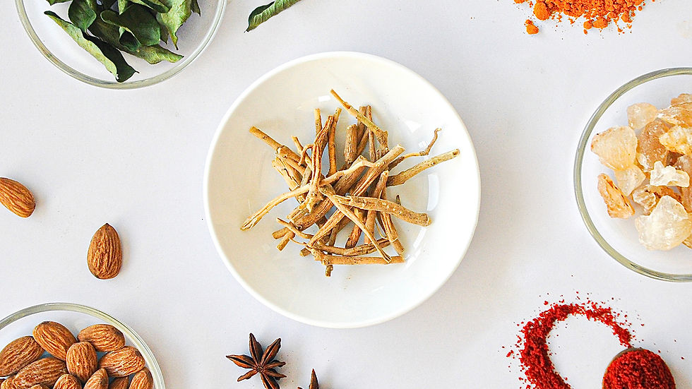 Untitled-135 edited.jpg