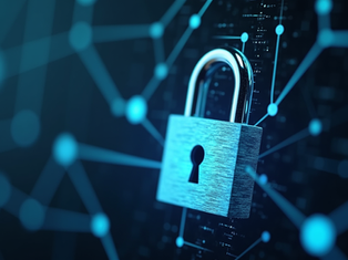 Ciberseguridad: Protegiendo su Infraestructura Digital