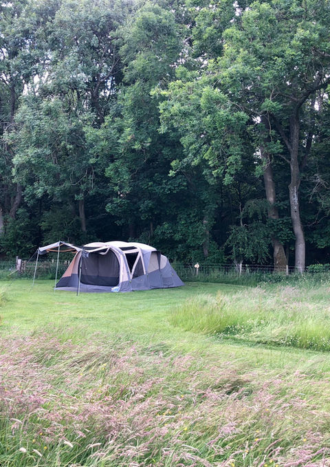 spacious tent pitch mown into the meadow