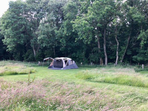 spacious tent pitch mown into the meadow