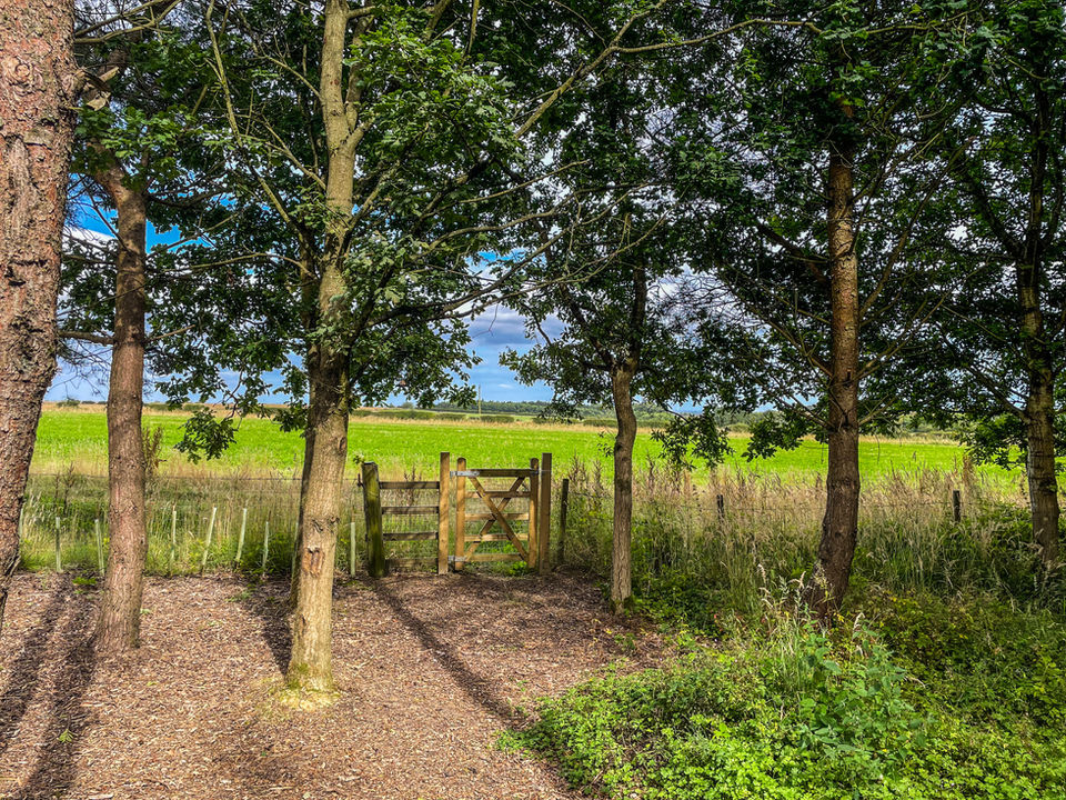 fully fenced woodland garden 