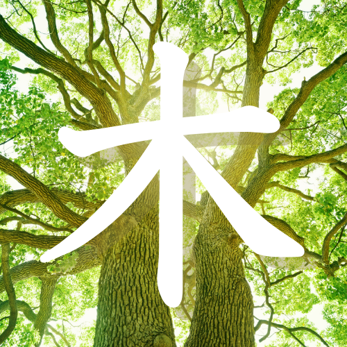 cac30240-b263-4b1e-9687-619ceee58f69