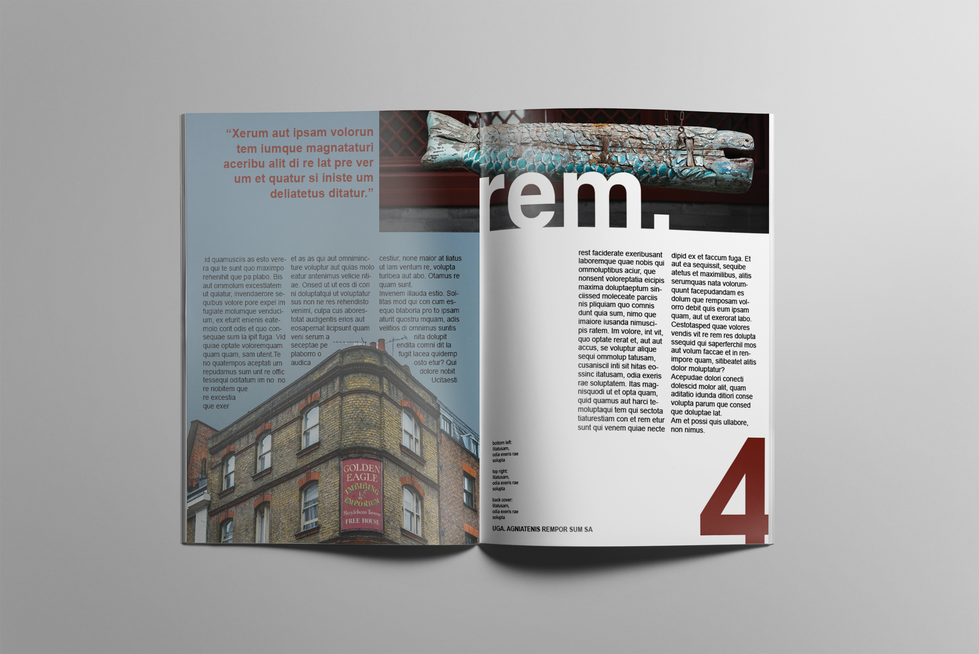 Graphic Design Inside pages