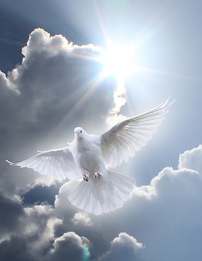 The Door Church of Cypress