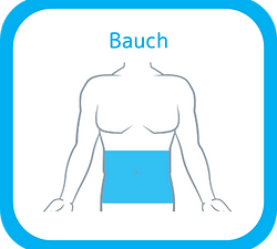 Bauch.png