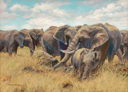 Family Bath ~ Babies First 18 x 24