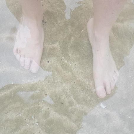 Finding my White Whale - A true 'Tail' #2