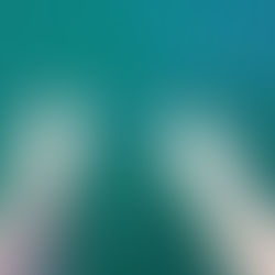 Finding my White Whale - A true 'Tail' #3