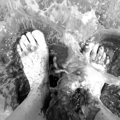 Finding my White Whale – A true ‘Tail’ #1