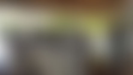 Cursos de negocios verdes