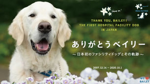 ありがとうベイリー!〜日本初のファシリティドッグとその軌跡〜