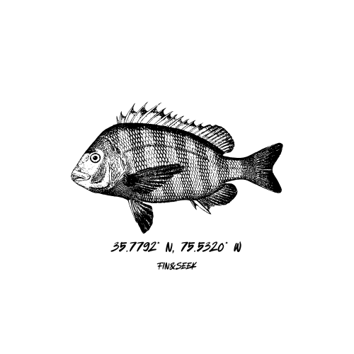 coordinates fin and seek shirt design