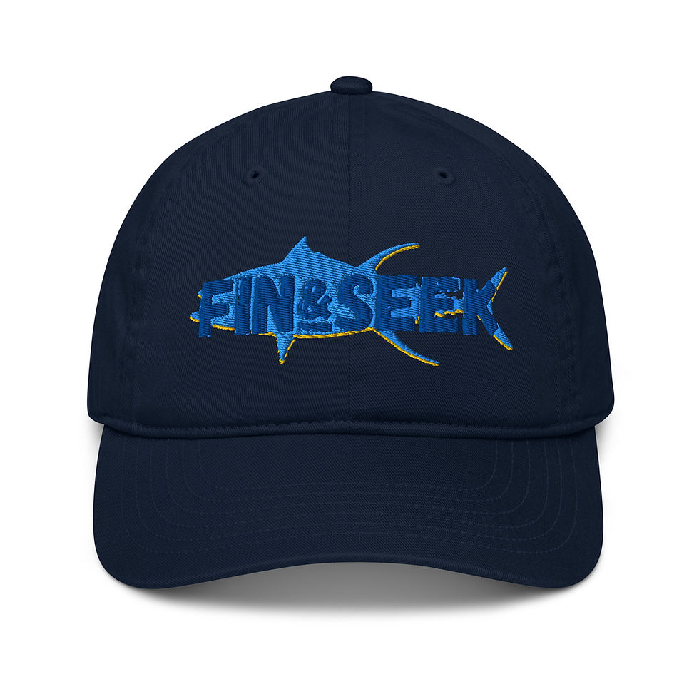 fin and seek lil tuna dad hat