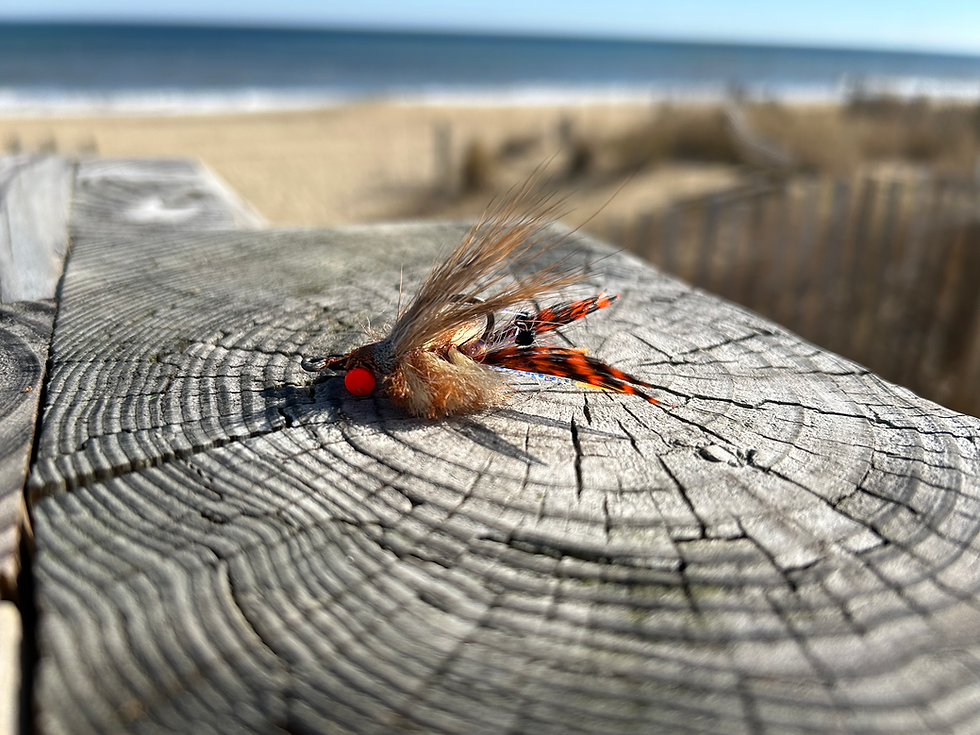 mohawk crab natural side profile