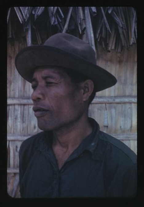 Rongerik, Juda, 2-2-1948, Photo by Leonard Mason, Robert C. Kiste Collection, UHawaii, Manoa