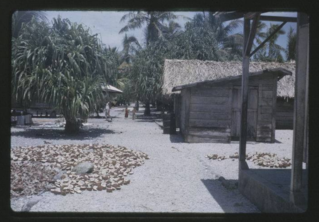 Kili, 8-27-1963 - Photo by Robert Kiste, Source -Robert C Kiste Collection, UHawaii, Manoa