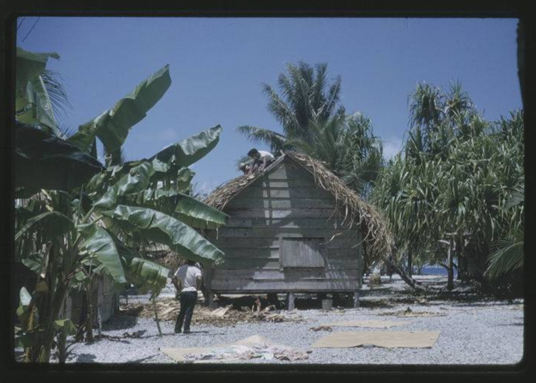 Thatching - 9-17-1963 - Photo by Robert Kiste, Source -Robert C Kiste Collection, UHawaii, Manoa