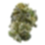 https---s3-us-west-2.amazonaws.com-leafl