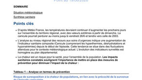 BULLETIN CANICULE