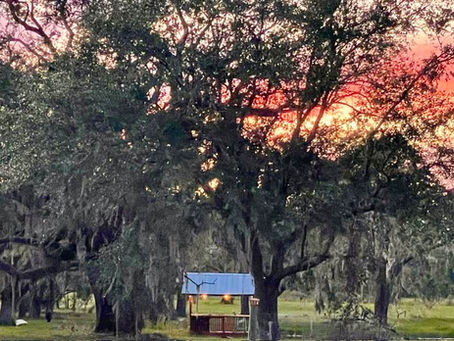 One Particular Harbour