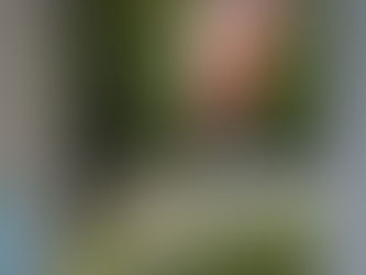 Something Wicked This Way Comes