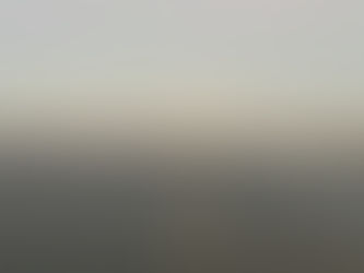 Roots, or the Lack Thereof