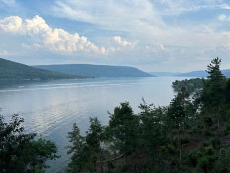 You Are What You Ingest