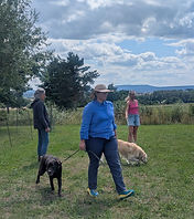 Coaching Mensch mit Hund