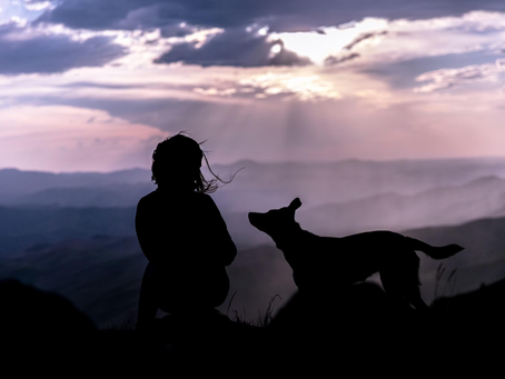 Was, wenn dein Hund nicht verändert werden muss?
