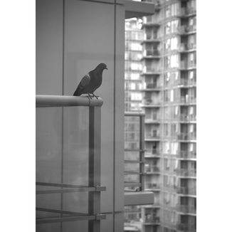 Frame 75