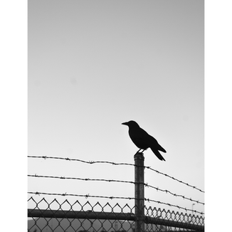 Frame 64