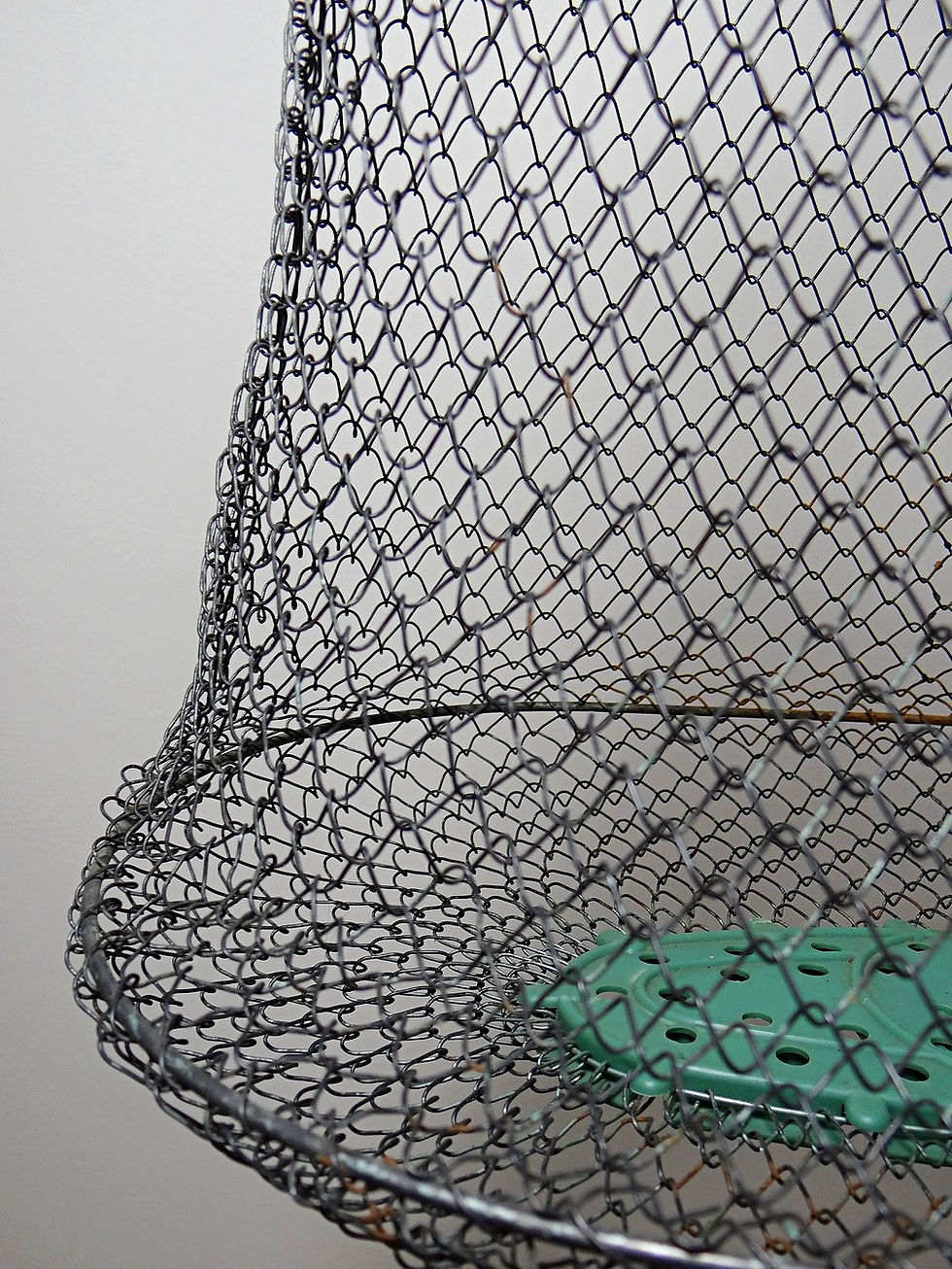 Miniature : Nasse ou panier à poisson de pêcheur XL vintage Maillinox années 80-90