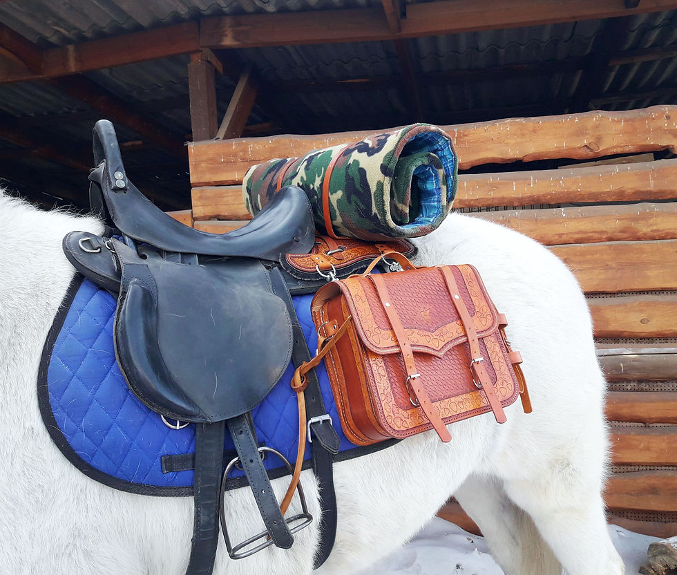 Миниатюра: Сумки седельные