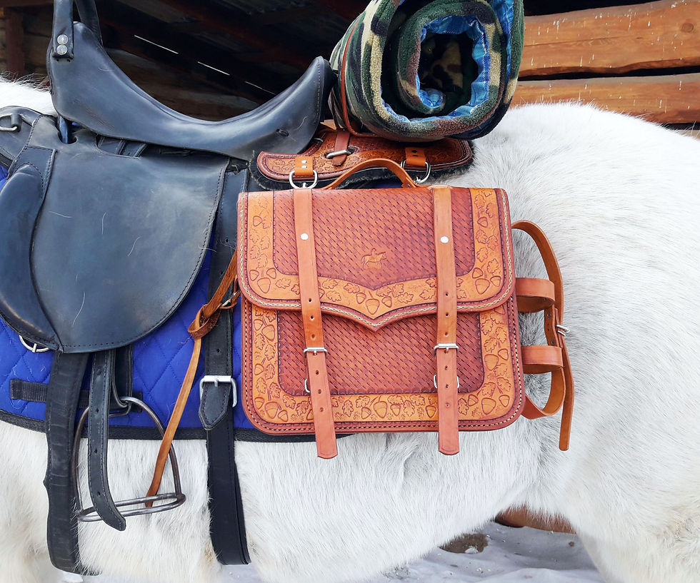 Миниатюра: Сумки седельные